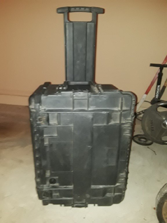Pelican 3.jpg