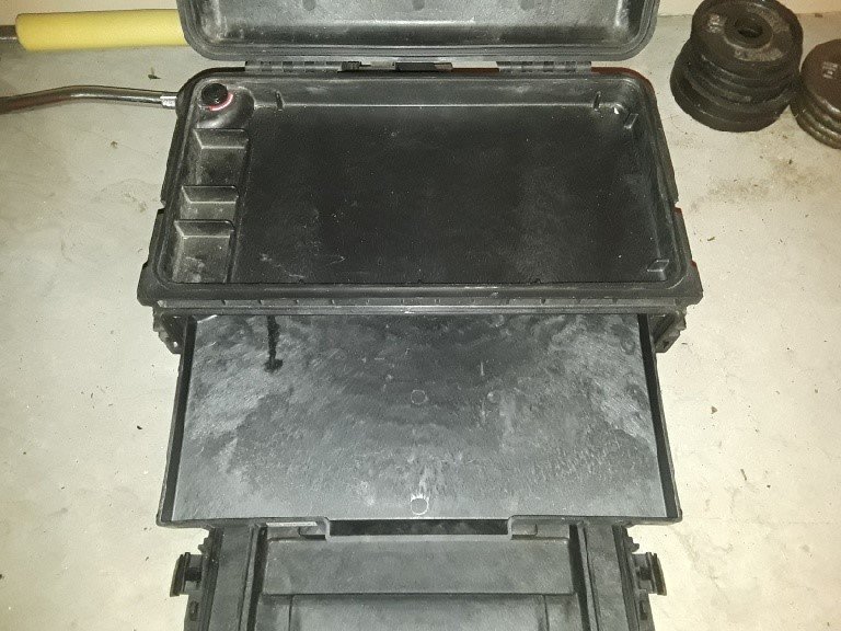 Pelican 4.jpg