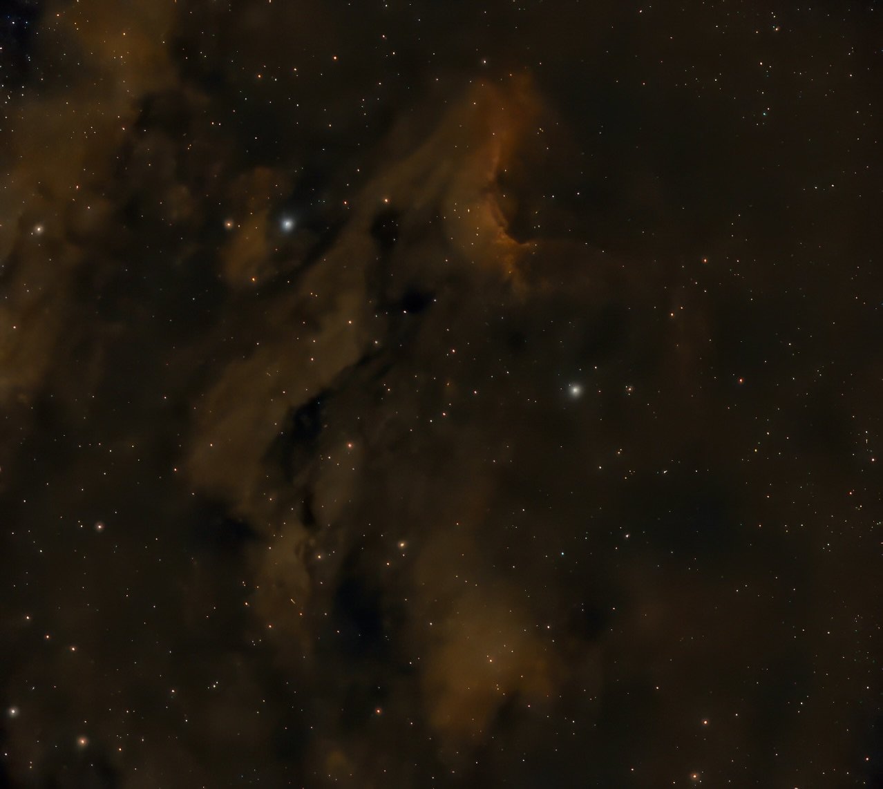 Pelican Nebula 209 subs.jpg