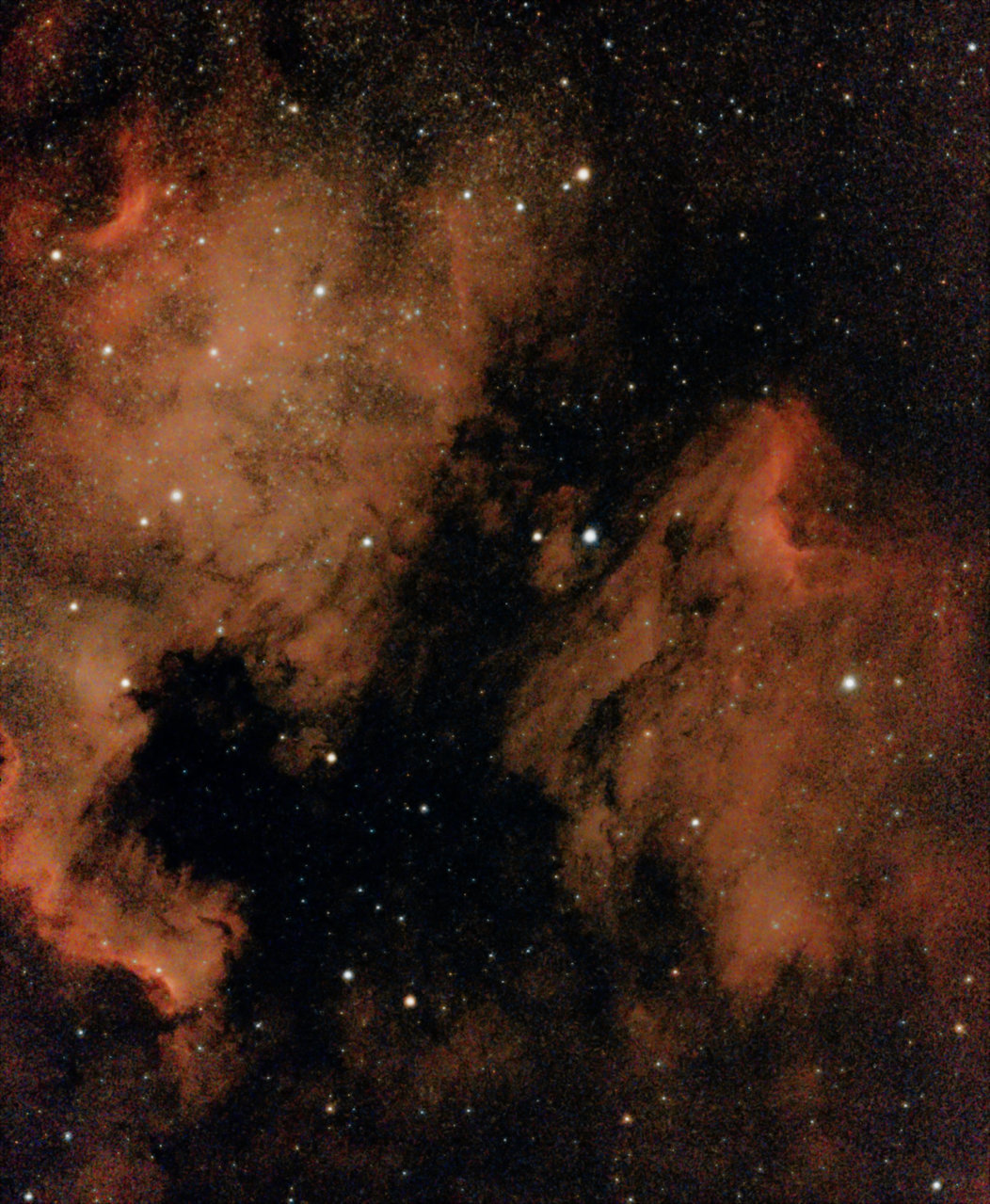 Pelican Nebula Affinity Startools.jpg