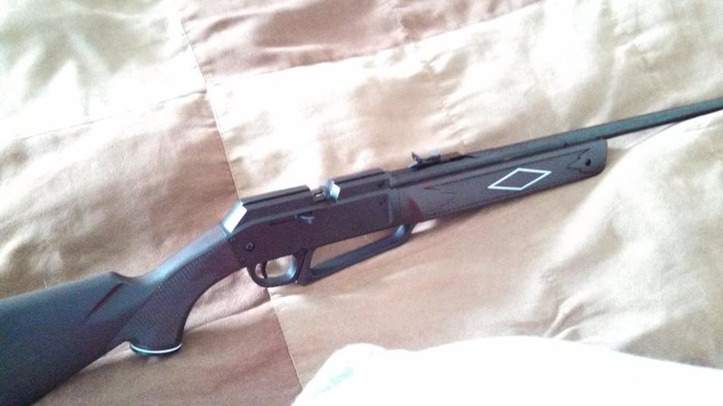 pellet2.jpg