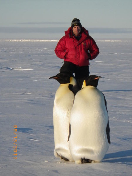 Penguin2.jpg