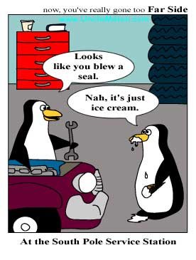 penguins.jpg