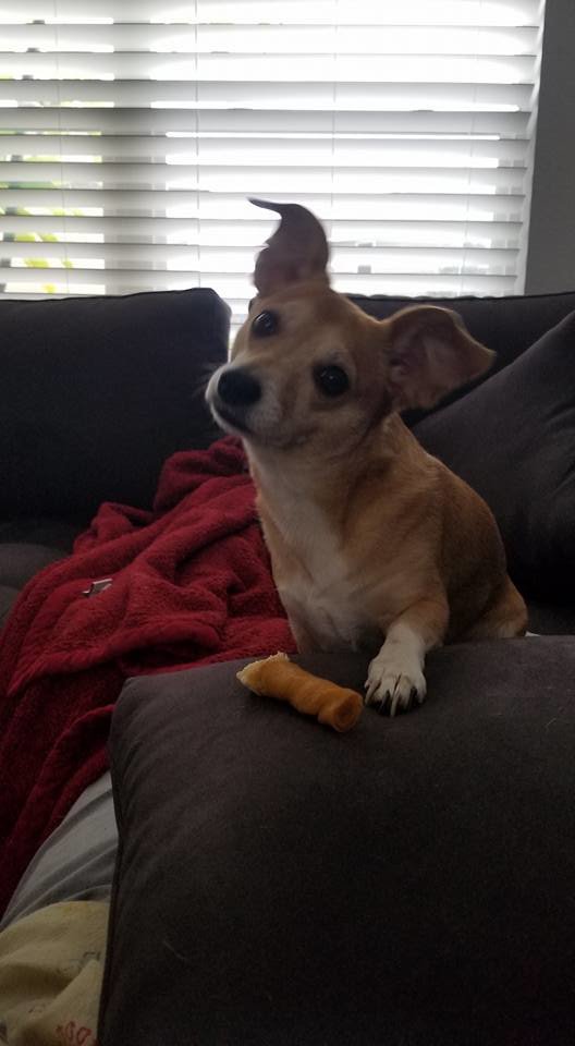 penny.jpg