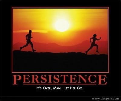 persistence_8062df9a4dba9f2c8da4938fa699386e17733b60.jpg