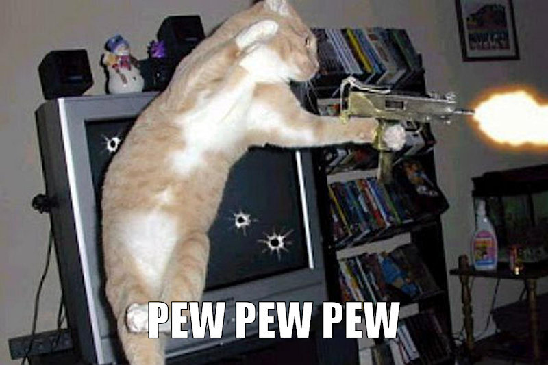 Pew Pew Cat.jpg