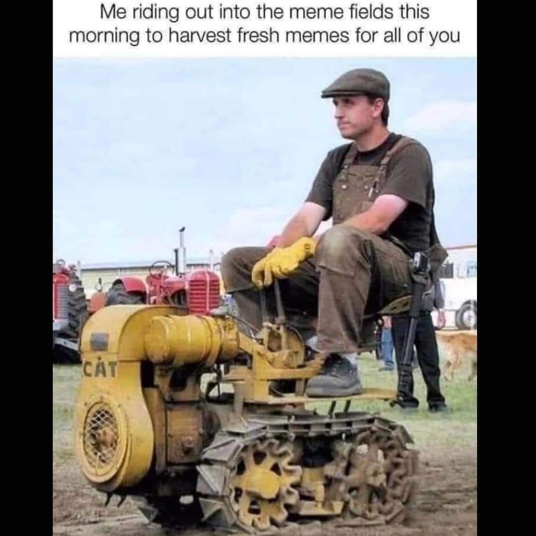 pewtherapy_20210801_112845_2.jpg