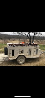 Pheasant hunt 2019.jpg