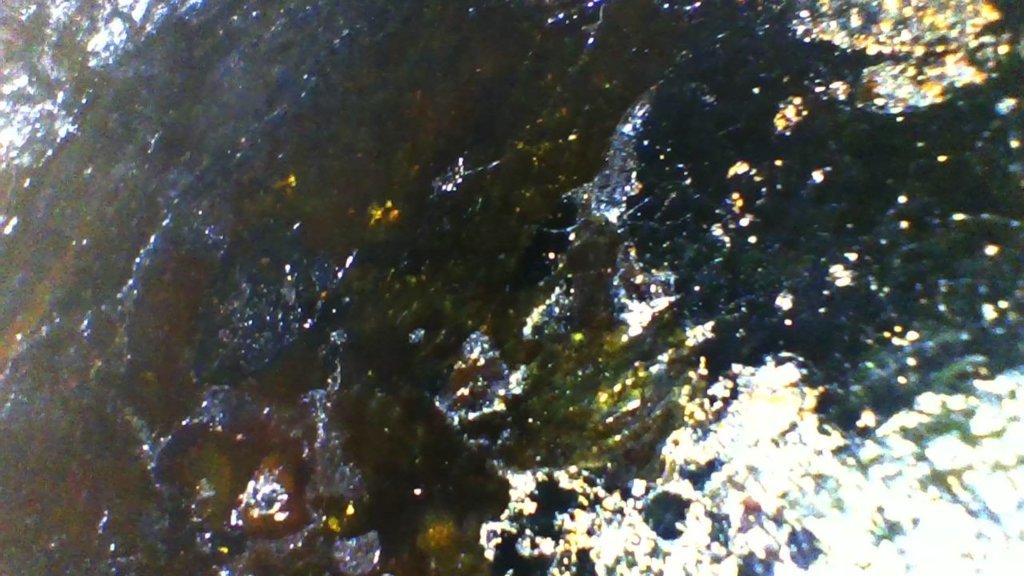 PHO00011.jpg