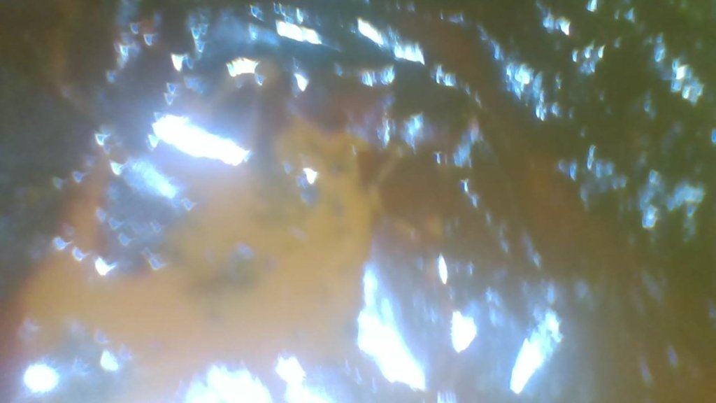 PHO00015.jpg