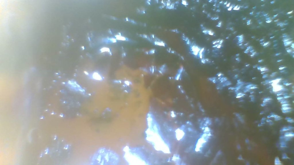PHO00016.jpg