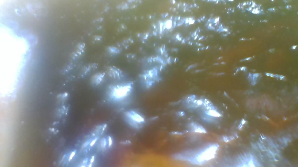 PHO00017.jpg