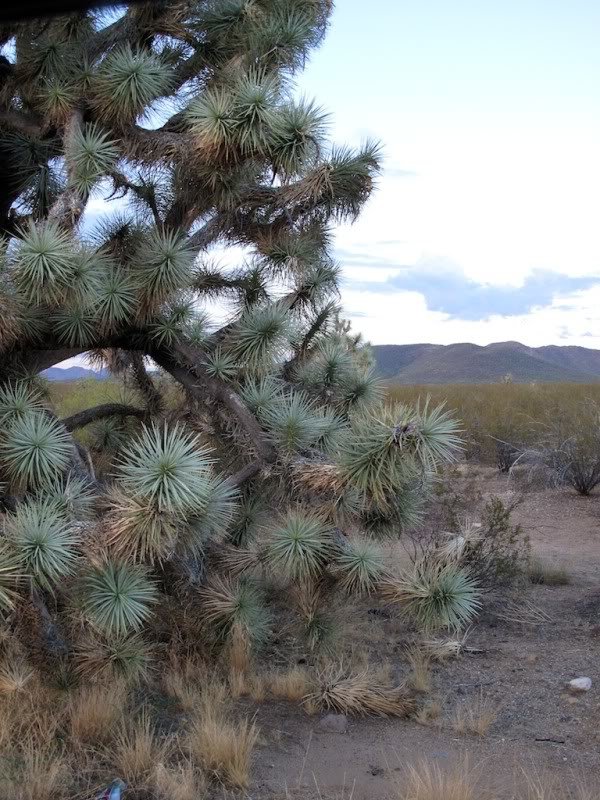 PhoenixtoVegas6_475829a9008f1df178979d5226f29d57f6262d03.jpg