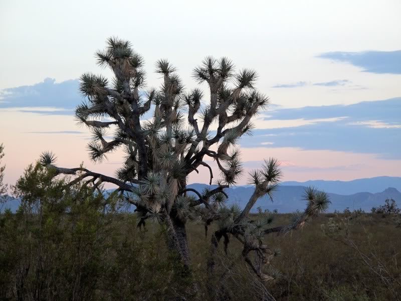 PhoenixtoVegas7_9a31cf37908c6d2bb4fc228115681e5d72271496.jpg