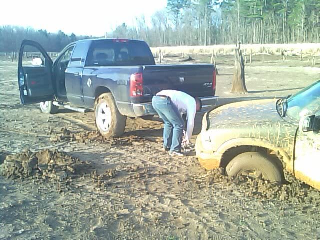 Phonepic3-01027_8b134b52d1244d5723f7bd861db58de78b26a7ee.jpg
