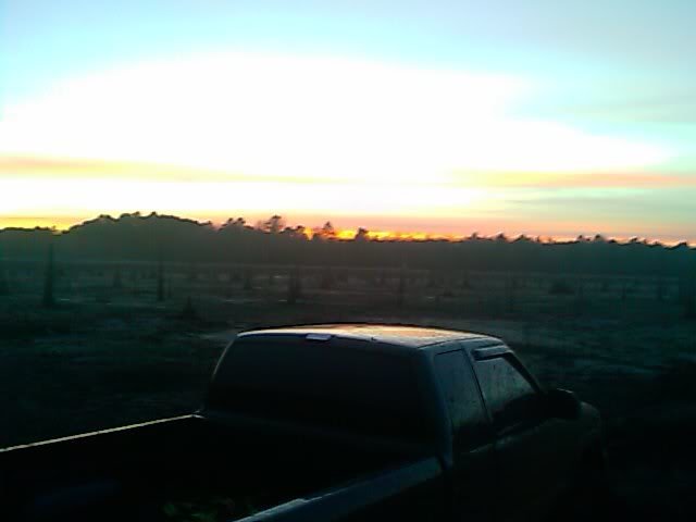 Phonepic3-01029_dfa8a7ac4997e683e25f83ccfac7be677d603afd.jpg