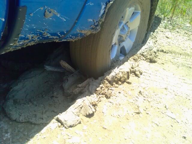 phonepics529145_9c53fb86f243525f96bc0bcc8a9845279937a122.jpg