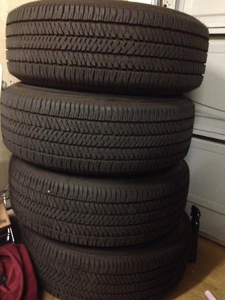 photo 1.jpg