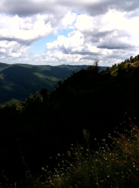photo 3.jpg