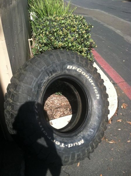 photo 3.jpg