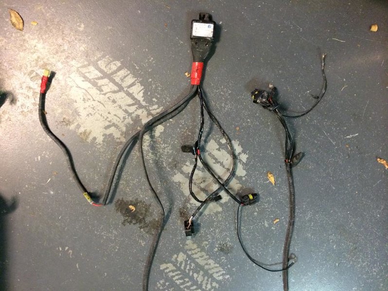 photo 4 (2).jpg
