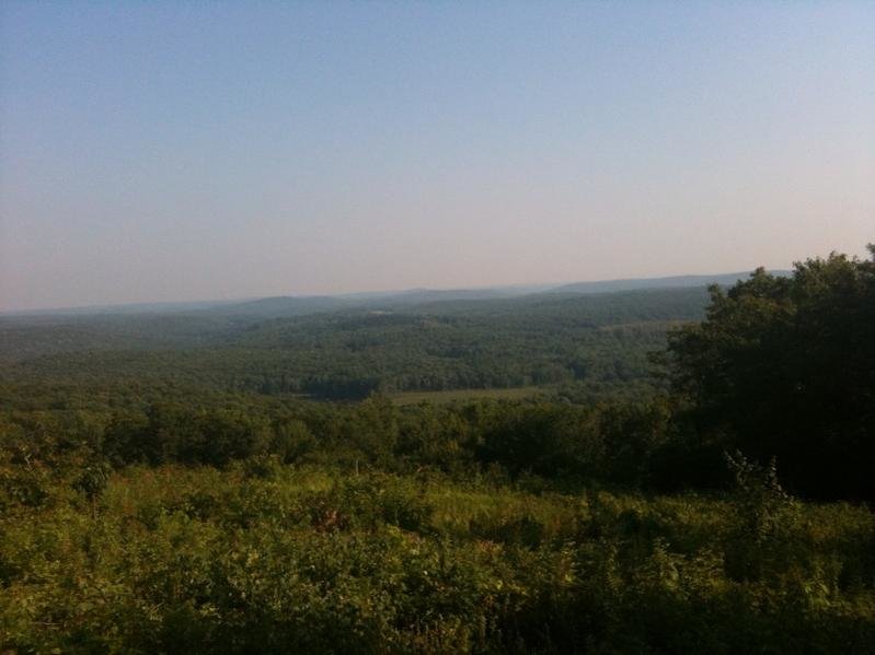 photo 4.jpg
