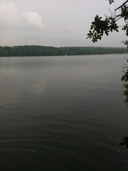 photo 5.jpg