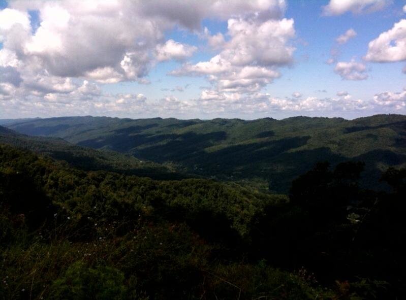 photo 5.jpg