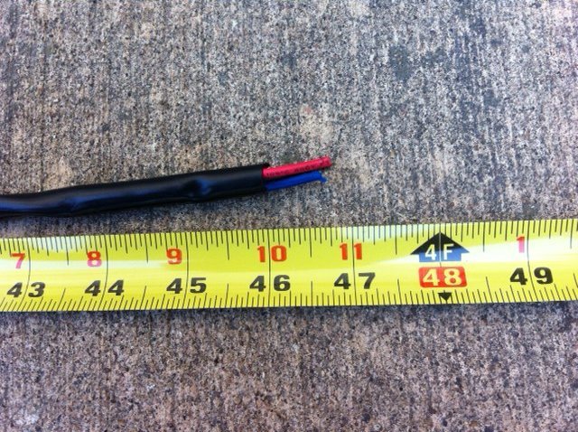 photo 9.jpg