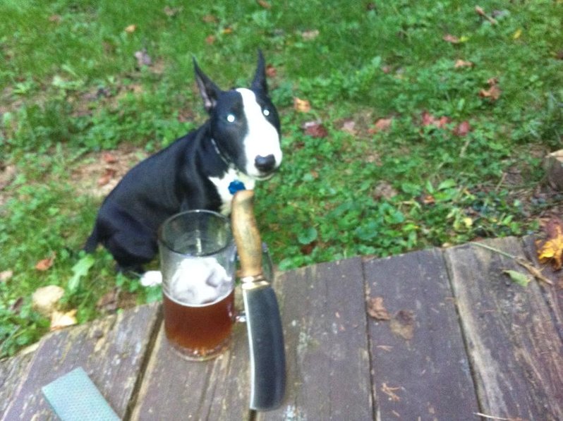 photo (9).jpg