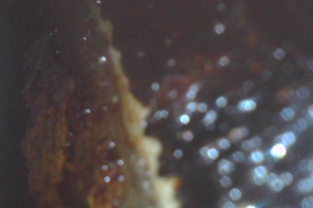 Photo on 3-10-22 at 9.41 PM #2.jpg