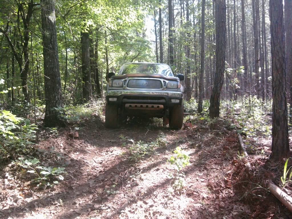 Photo0128_213acd079dc26ce09d8f7261fc57c4dac4694b0b.jpg