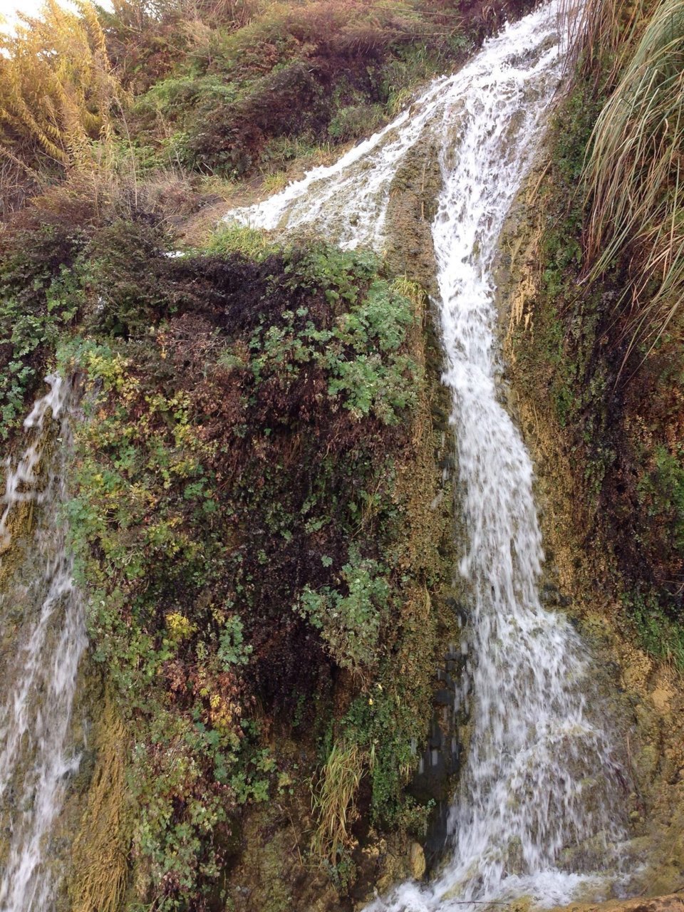 photo0jpg (1).jpg