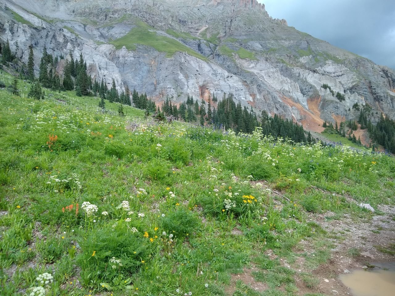 photo5181920155234576726.jpg