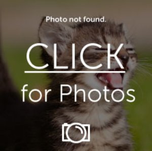photobucket.jpg