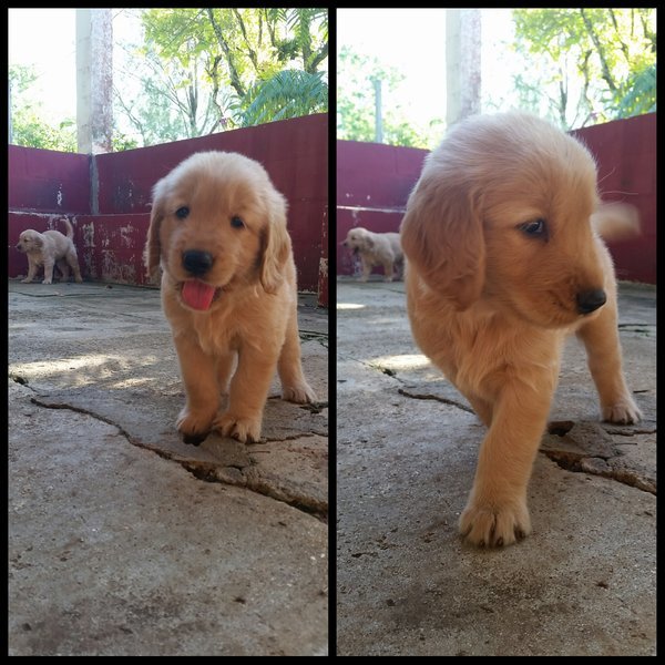 PhotoGrid_1456728405061.jpg