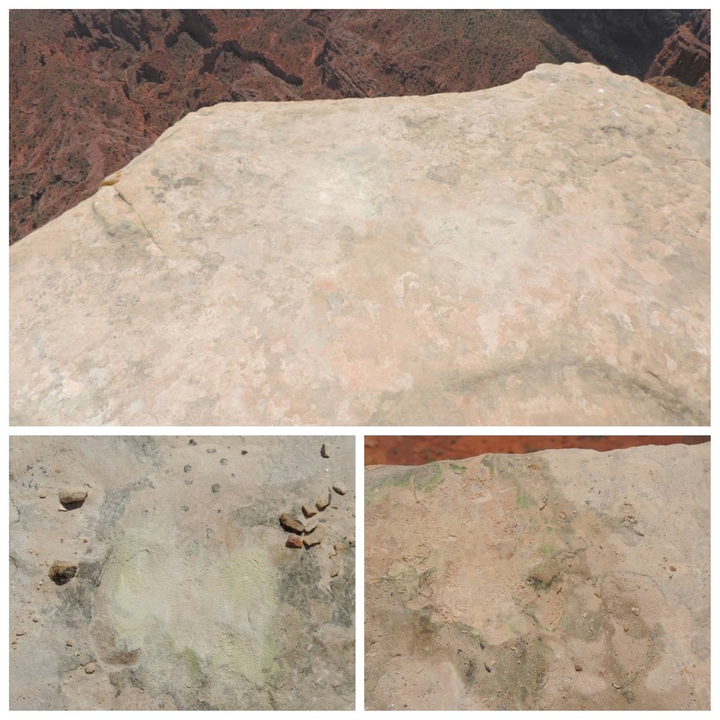 PhotoGrid_1470541249322_zps8fwe7chi_4f751d732e826164a7b44ec20daa6a49bf97d7a8.jpg