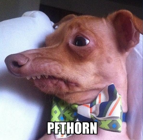 Phteven 20102016083501.jpg