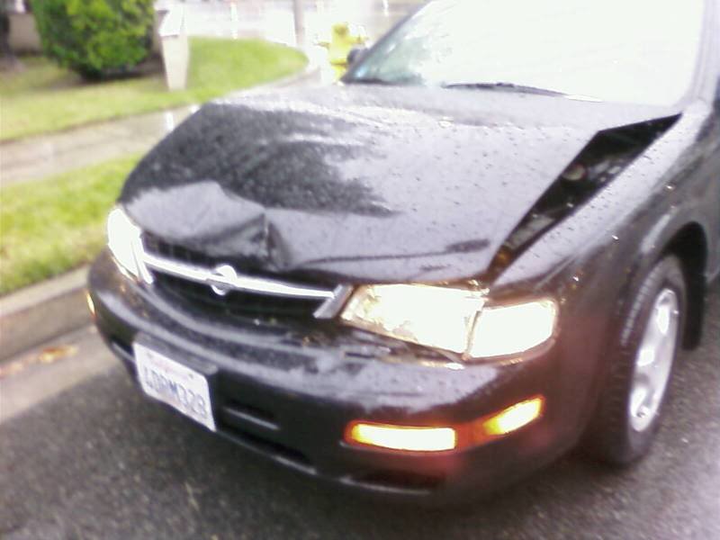 PIC-0020_24b3b053beeb896f53e1b3aced98cc3f17bdb1ac.jpg