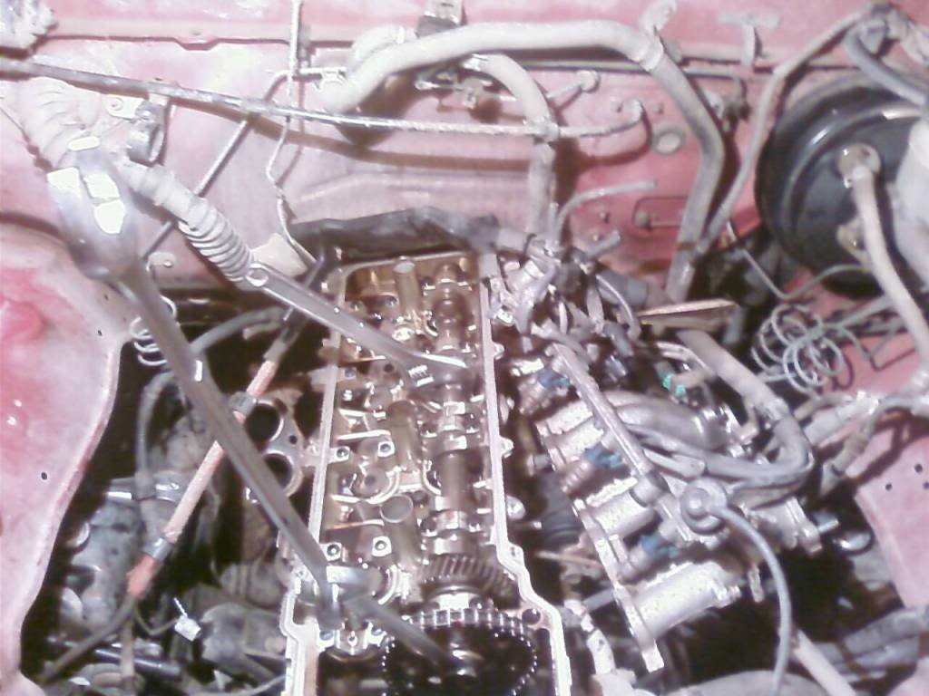 PIC-0355_400ca1d4f76851cfaab7083690898cc084f50c51.jpg