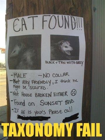Pic.jpg