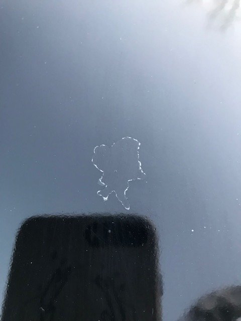 Pic.jpg