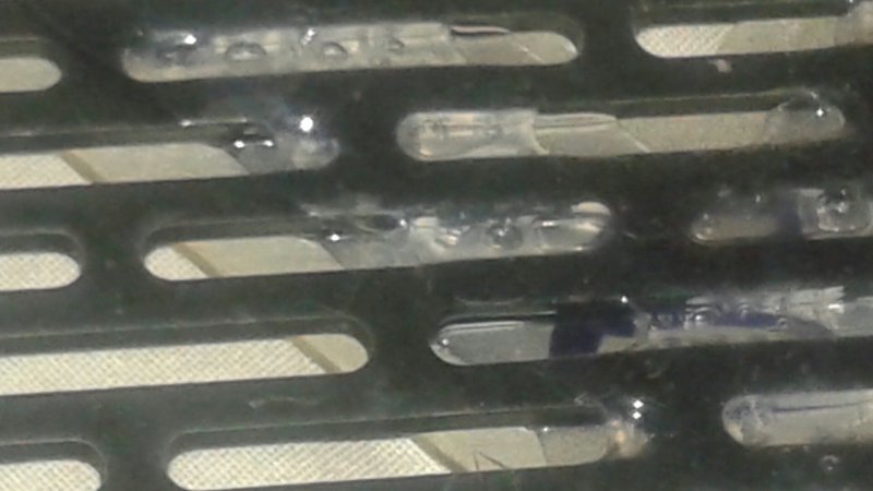 pic2.jpg