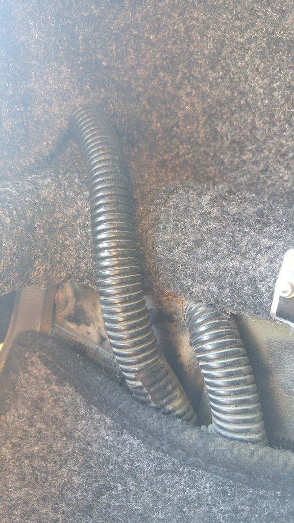 Pic21.jpg