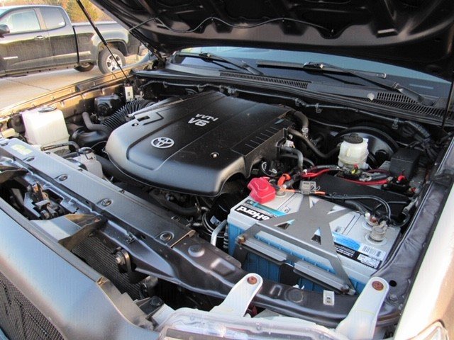 pic8.jpg