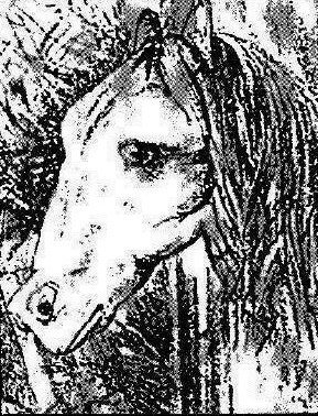 Pic_Illusion_FrogHorse.jpg