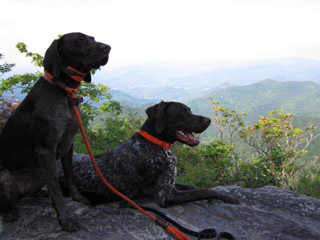 Pickens%2520Nose%2520Overlook_72adaaa499a1b19274978b2e23547beba8d9f042.jpg