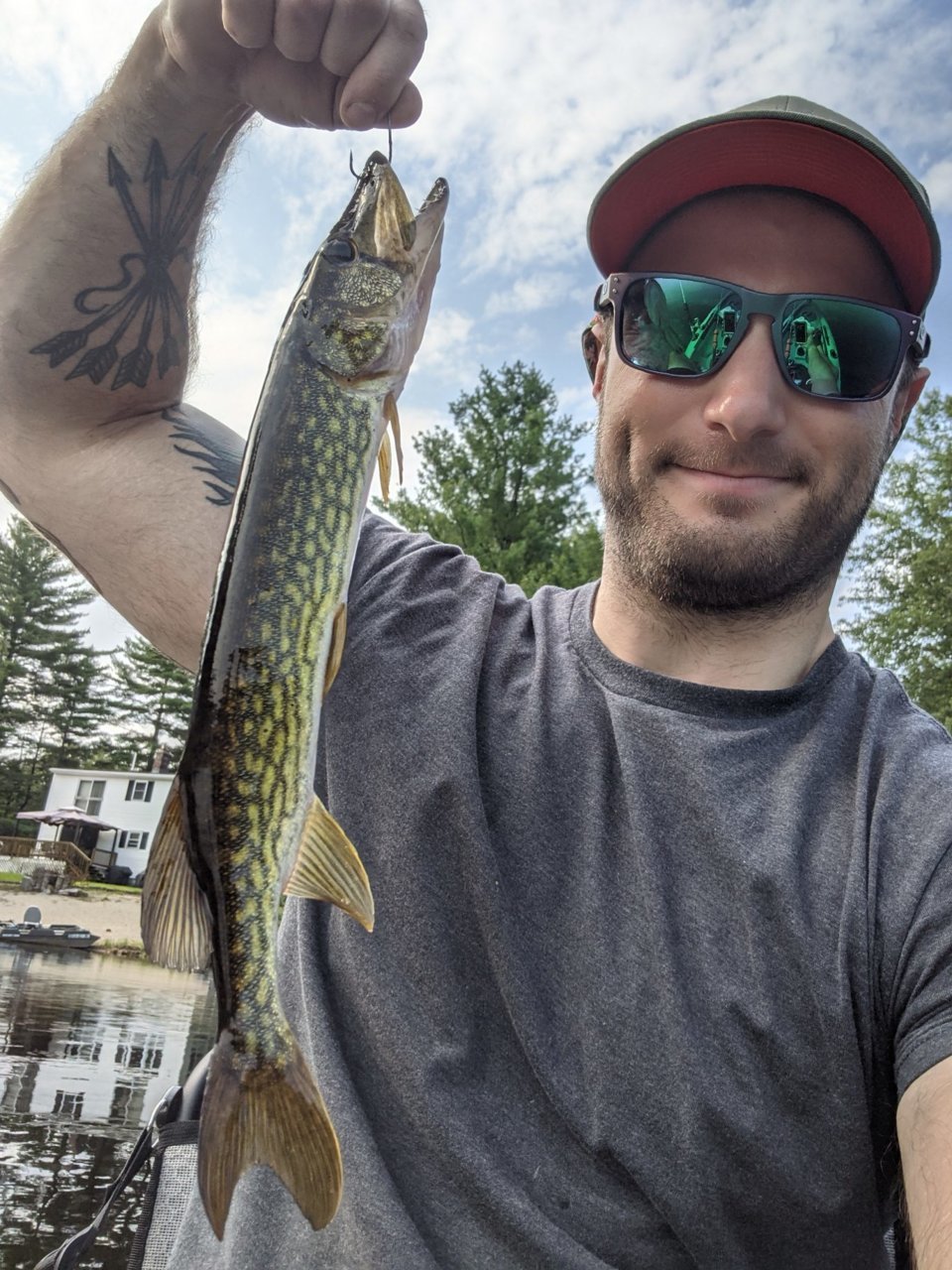 Pickerel.jpg