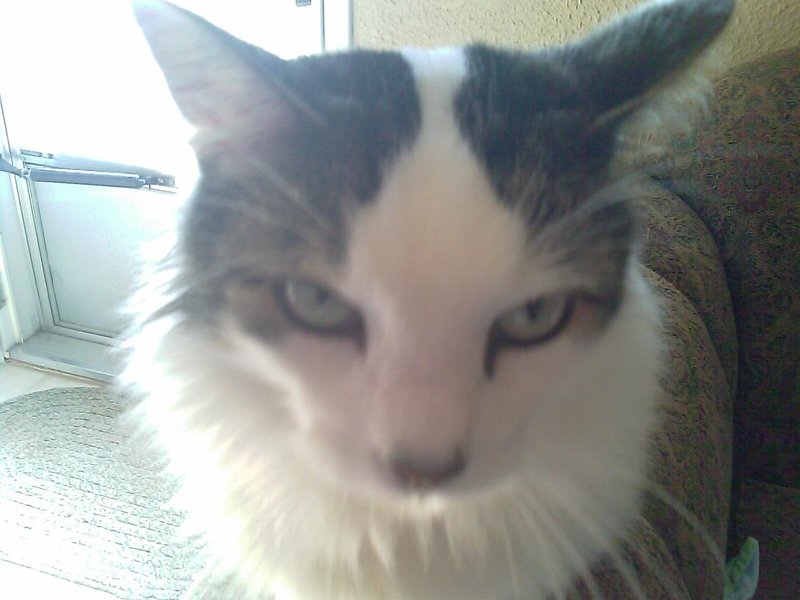 pics 014.jpg