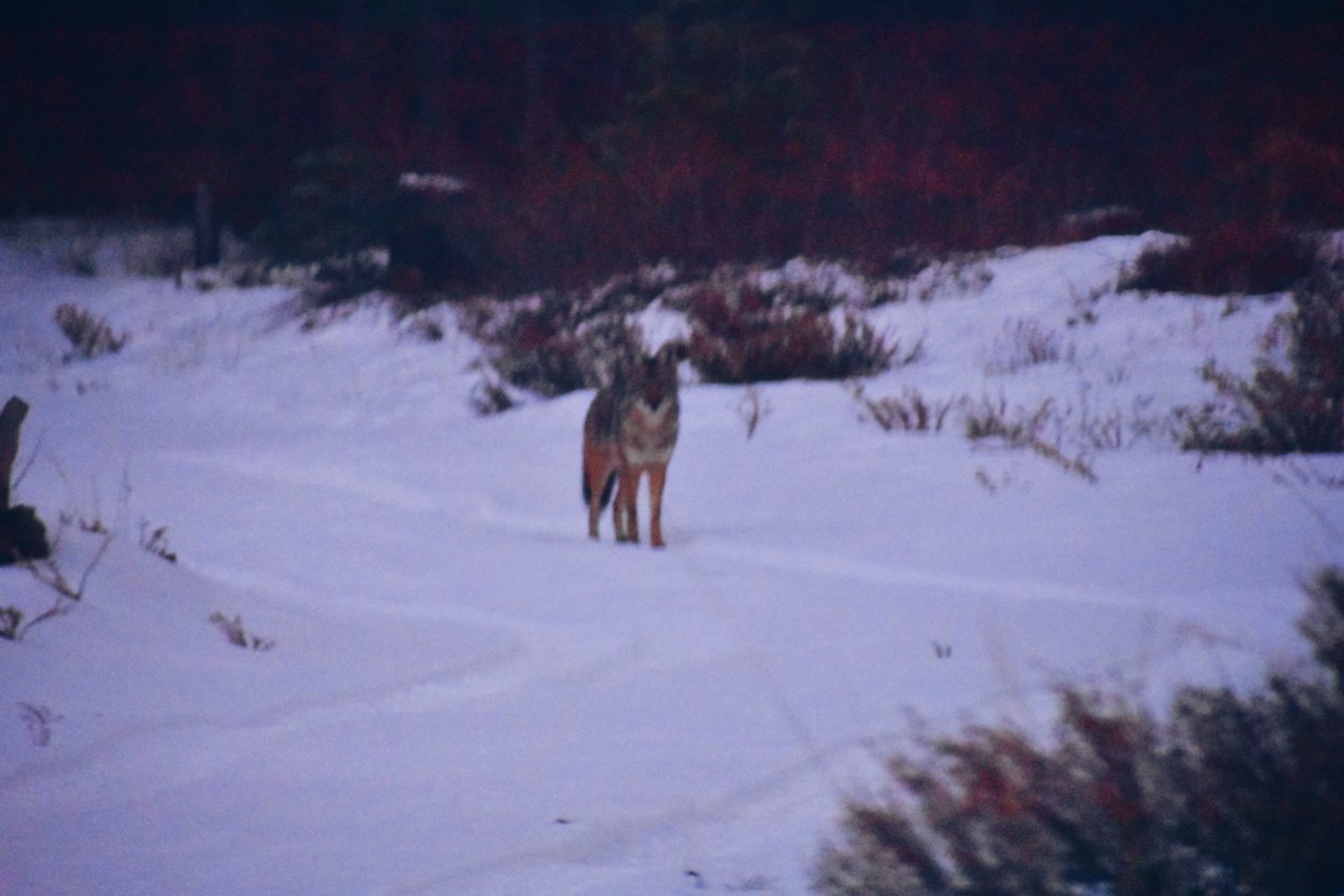 PicsArt_12-27-08.25.54.jpg